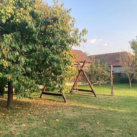 Tiszavirag Vendeghaz Apartman Tiszacsege Kültér fotó